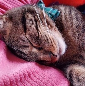 Meet your Posher, Wendy